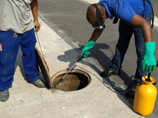 Controle de Pragas e Vetores - Rio de Janeiro |  Dedetização RJ