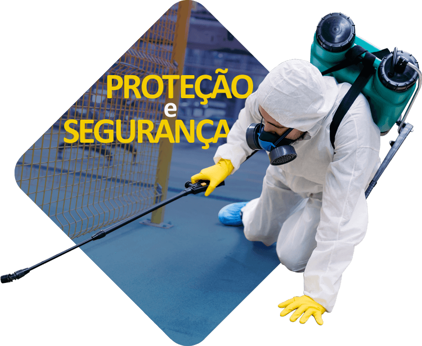 Dedetização RJ - Controle de pragas