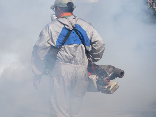 Controle de Mosquitos em Jacarepaguá