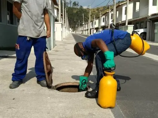 Contrato de Dedetização para Condomínio - Rio de Janeiro | Dedetizadora