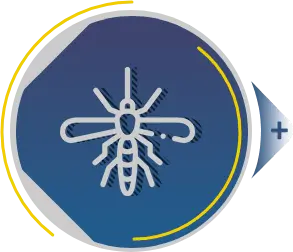 Dedetização RJ - Controle de pragas