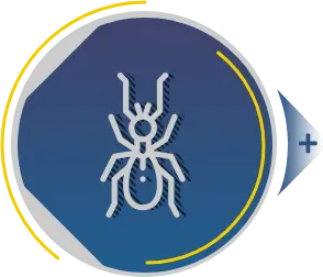 Dedetização RJ - Controle de pragas