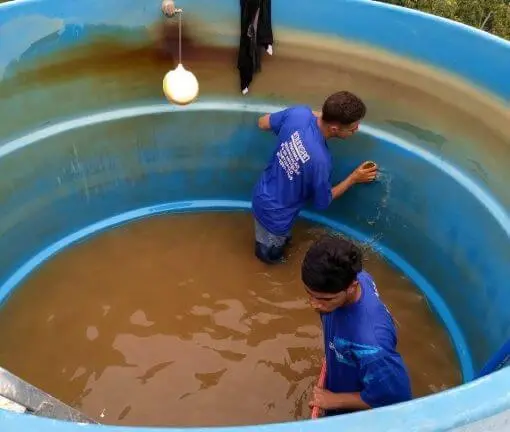 Serviço de limpeza de caixa d'água - Imunisan