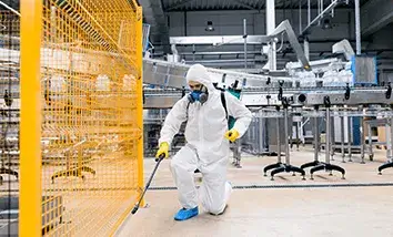 Dedetização RJ - Controle de pragas